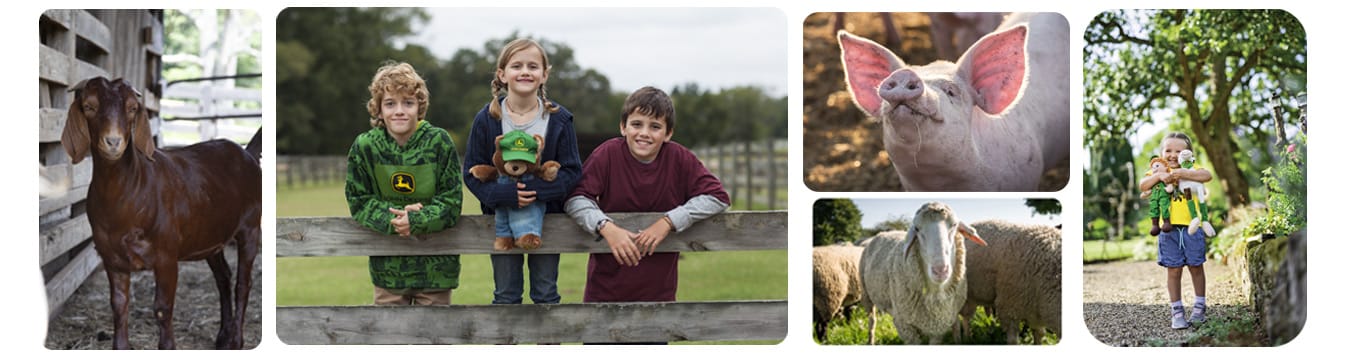 Collage of brown goat, kids, pig, dog in tractor