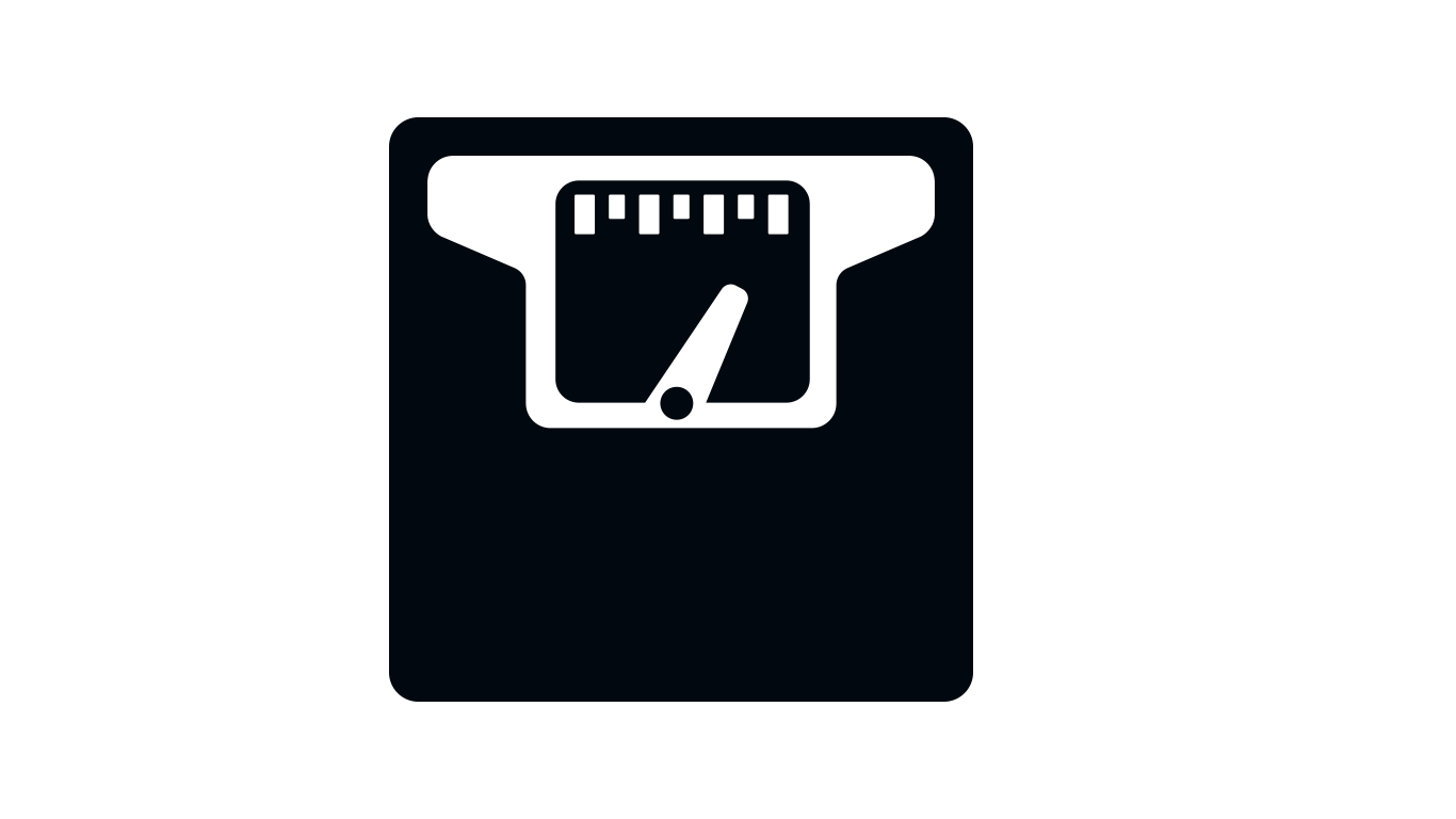 pay load weighing scale icon