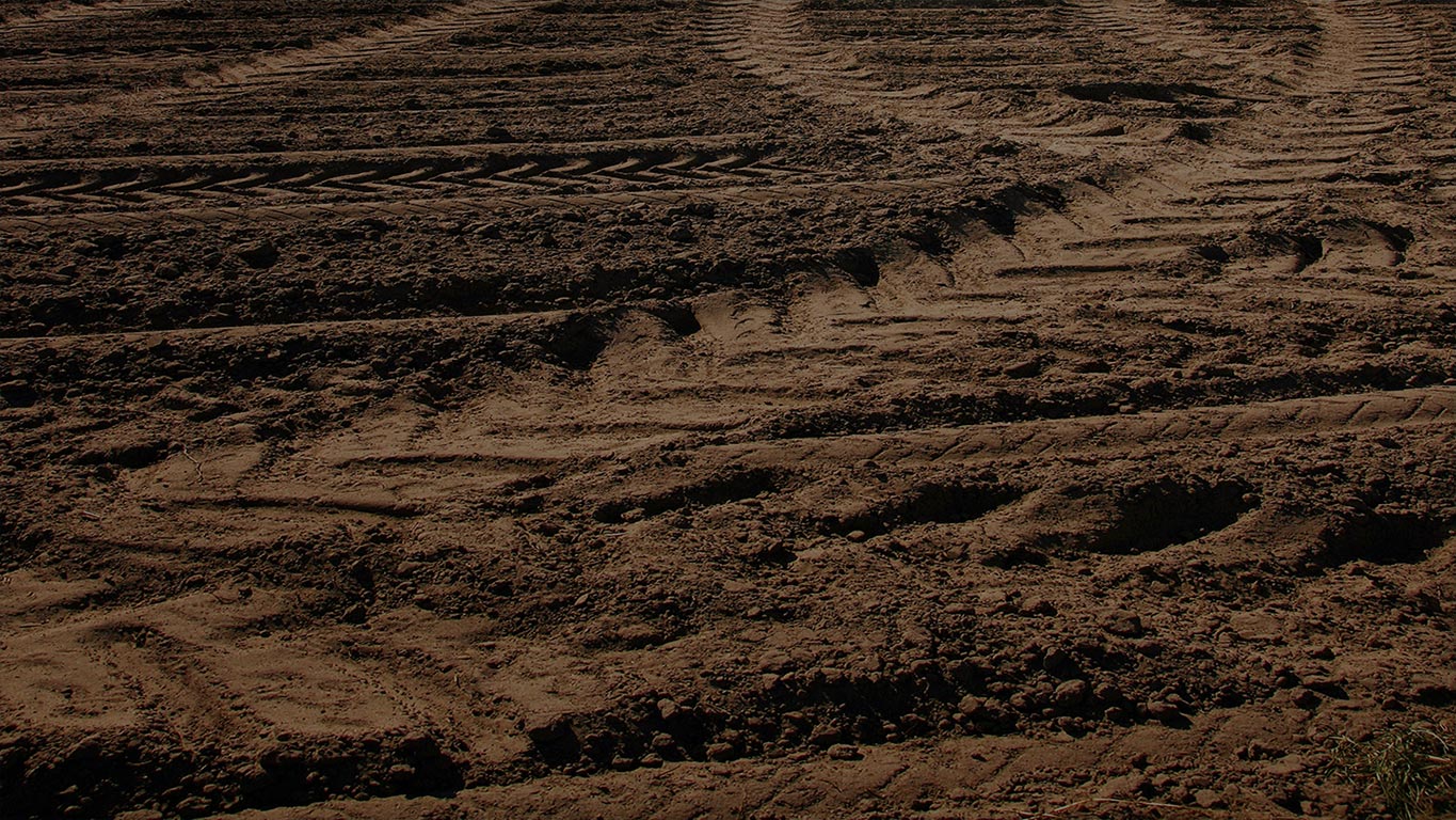 Tire tracks in a muddy field