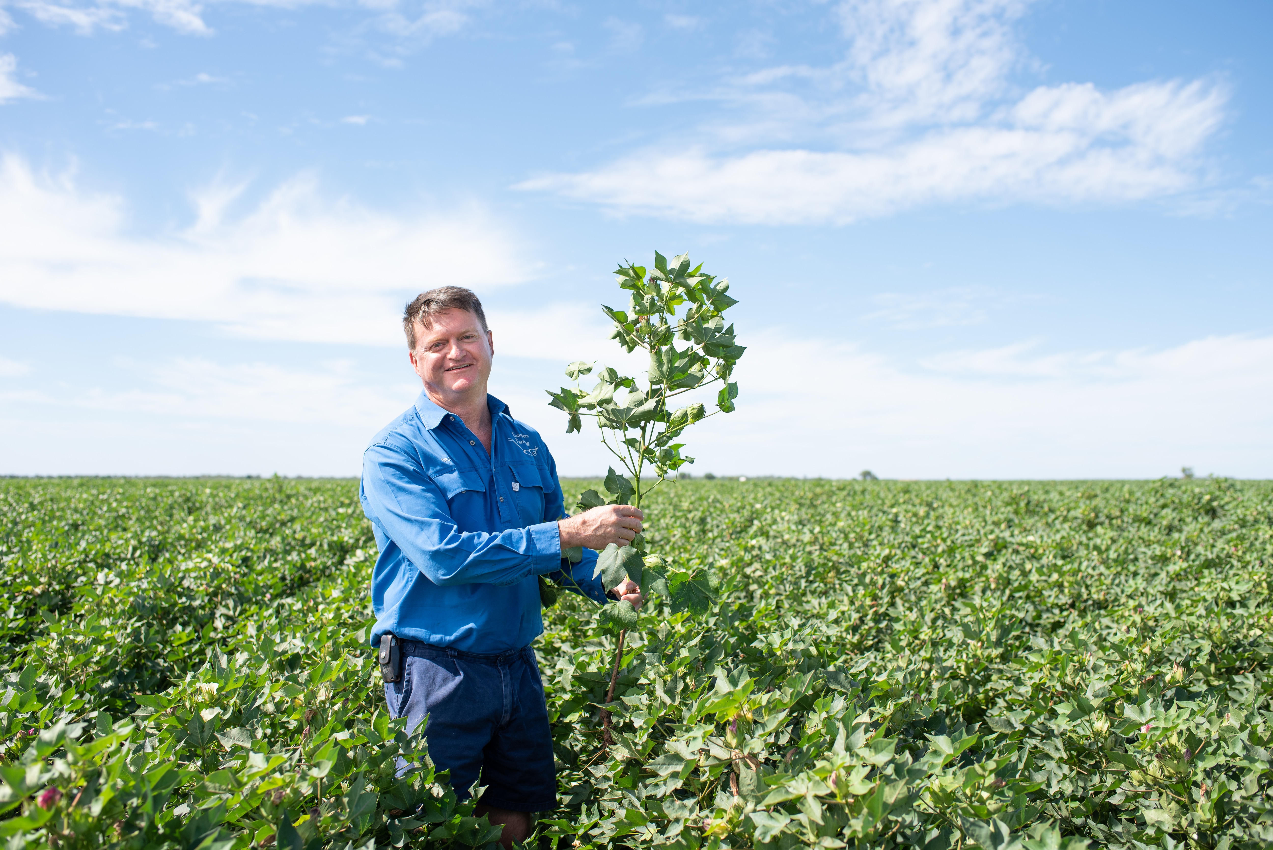 Craig Saunders, Saunders Farming Director in cotton field