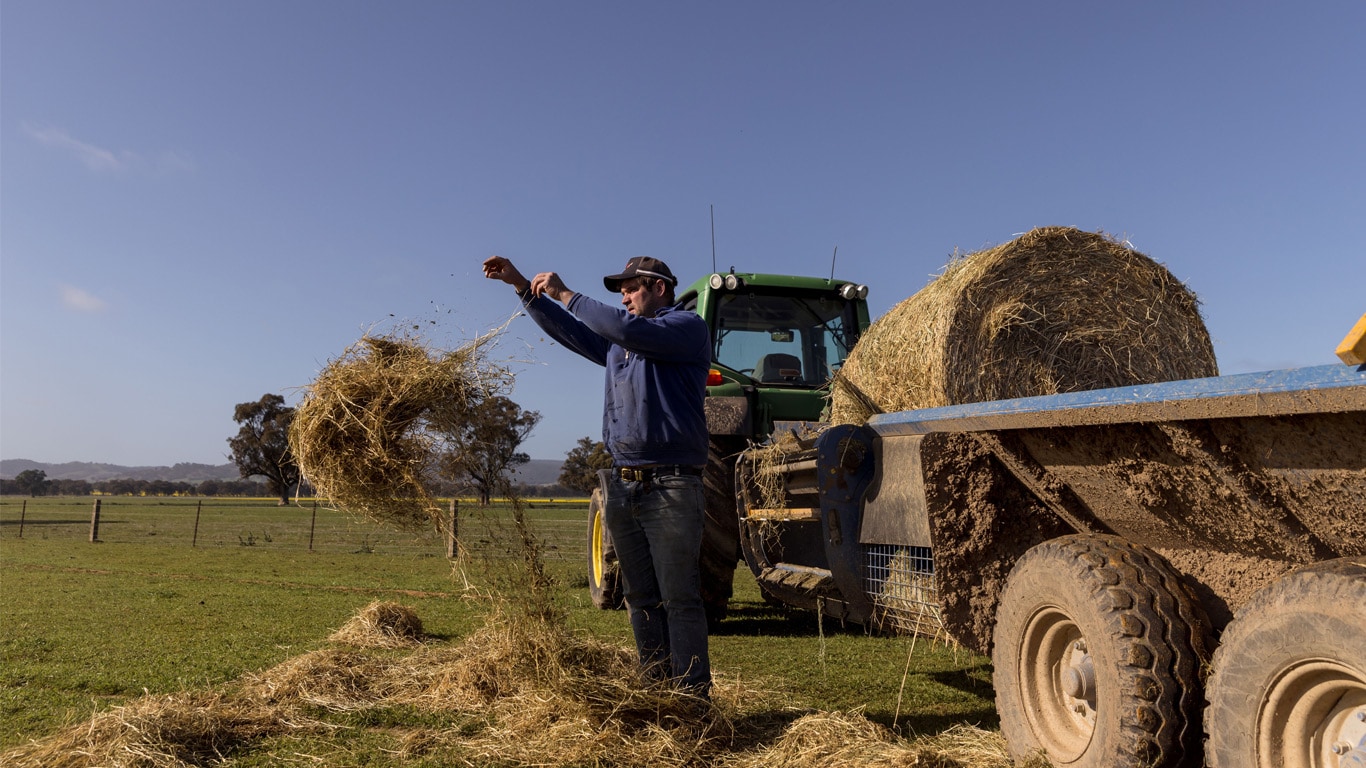 farmer picking hay on grass field beside tractor