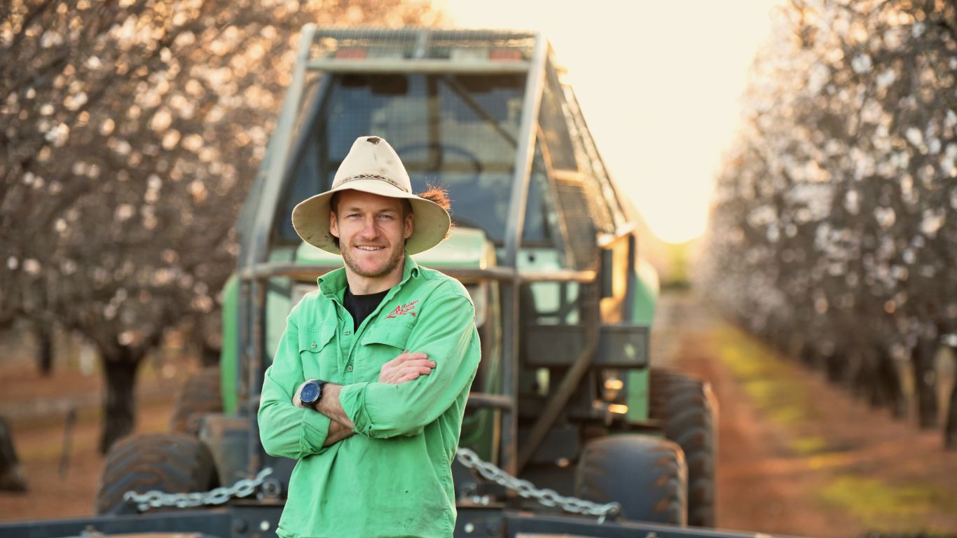 Person in green work shirt standing in front of farm equipment between rows of blooming trees.