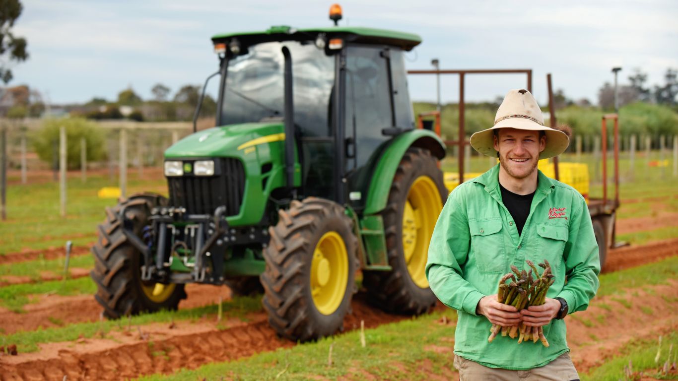 Person holding fresh asparagus in a field with a green tractor parked behind.
