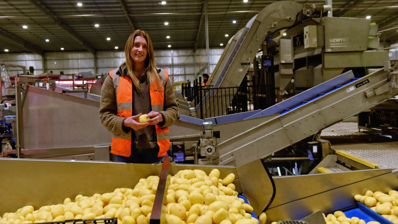 A woman in an orange high vis vest is holding a potato inside a potato processing plant.