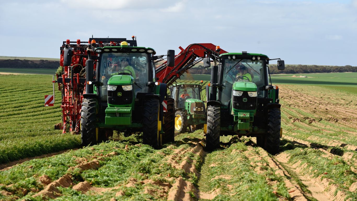 Two green tractors working side by side in a field, harvesting carrots with red harvesting machinery attached, under a partly cloudy sky.
