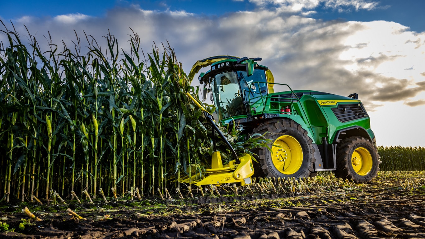 A John Deere self-propelled forage harvester in operation with yellow front attachment cutting the stalks close to the ground.