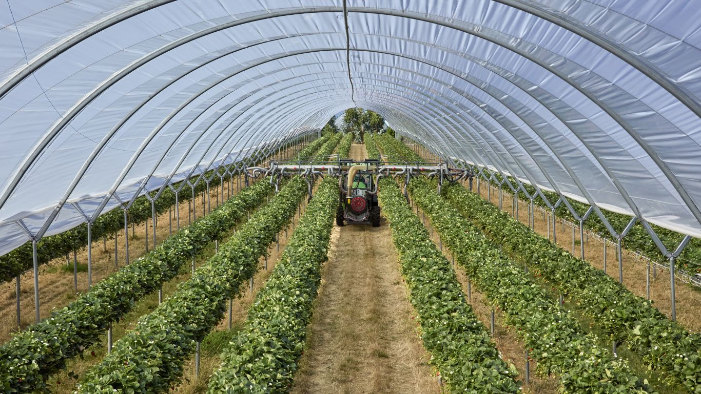 A John&nbsp;Deere tractor is driving down a row of raised strawberry beds with a sprayer spraying the plants.