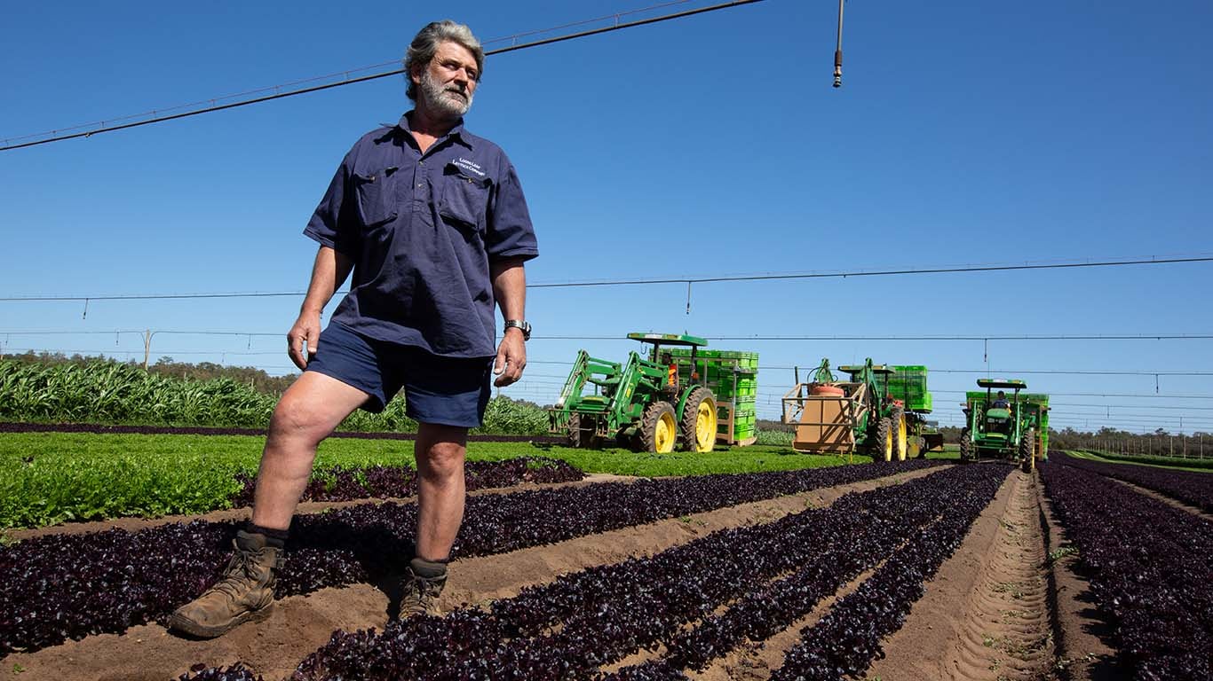 Kevan Dobra in Lettuce fields