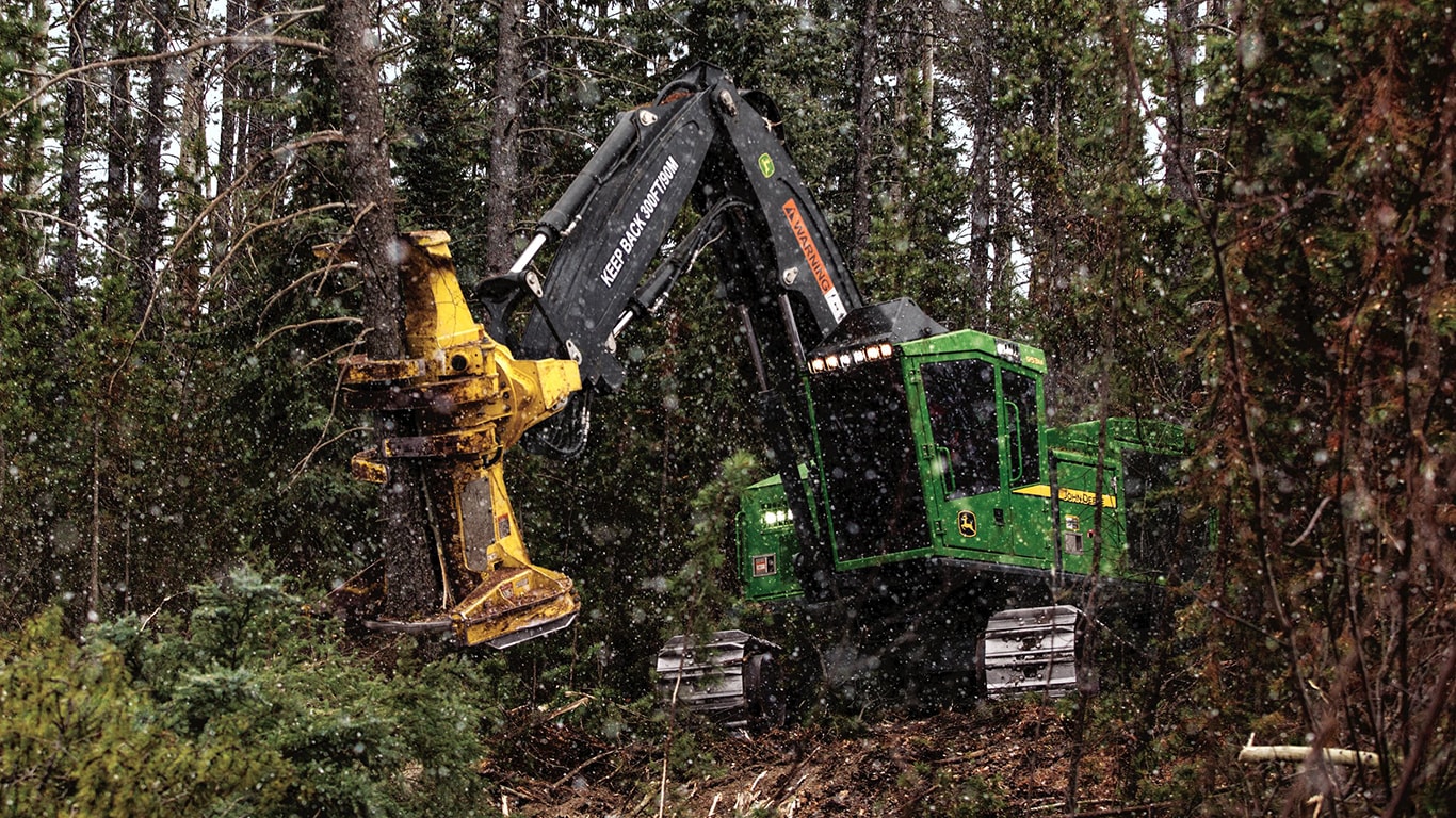 953M Tracked Feller Buncher felling trees in the forest