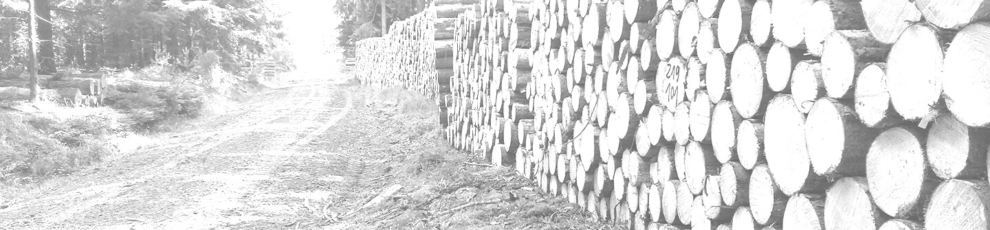 Logs on piles by a roadside