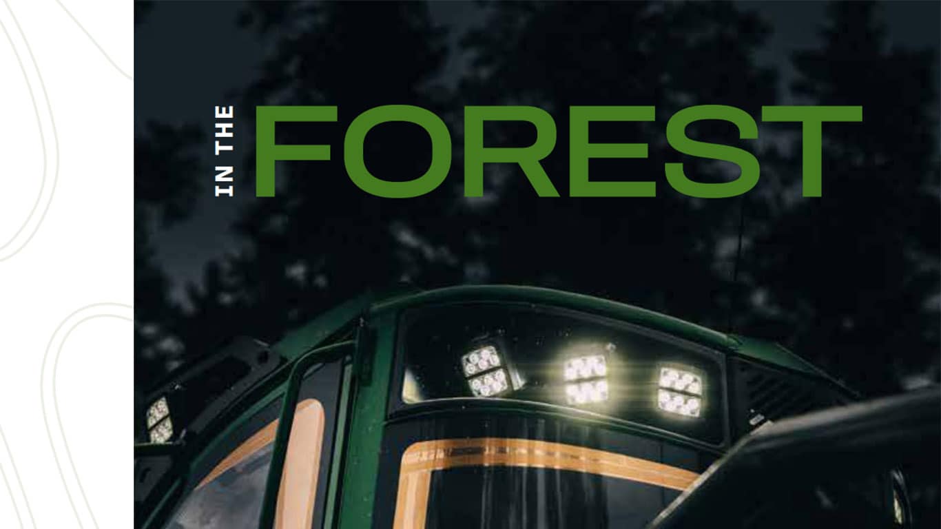 A cover of the In The Forest Magazine 1/2024