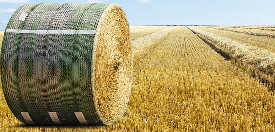 Wrapped bale of hay in a field