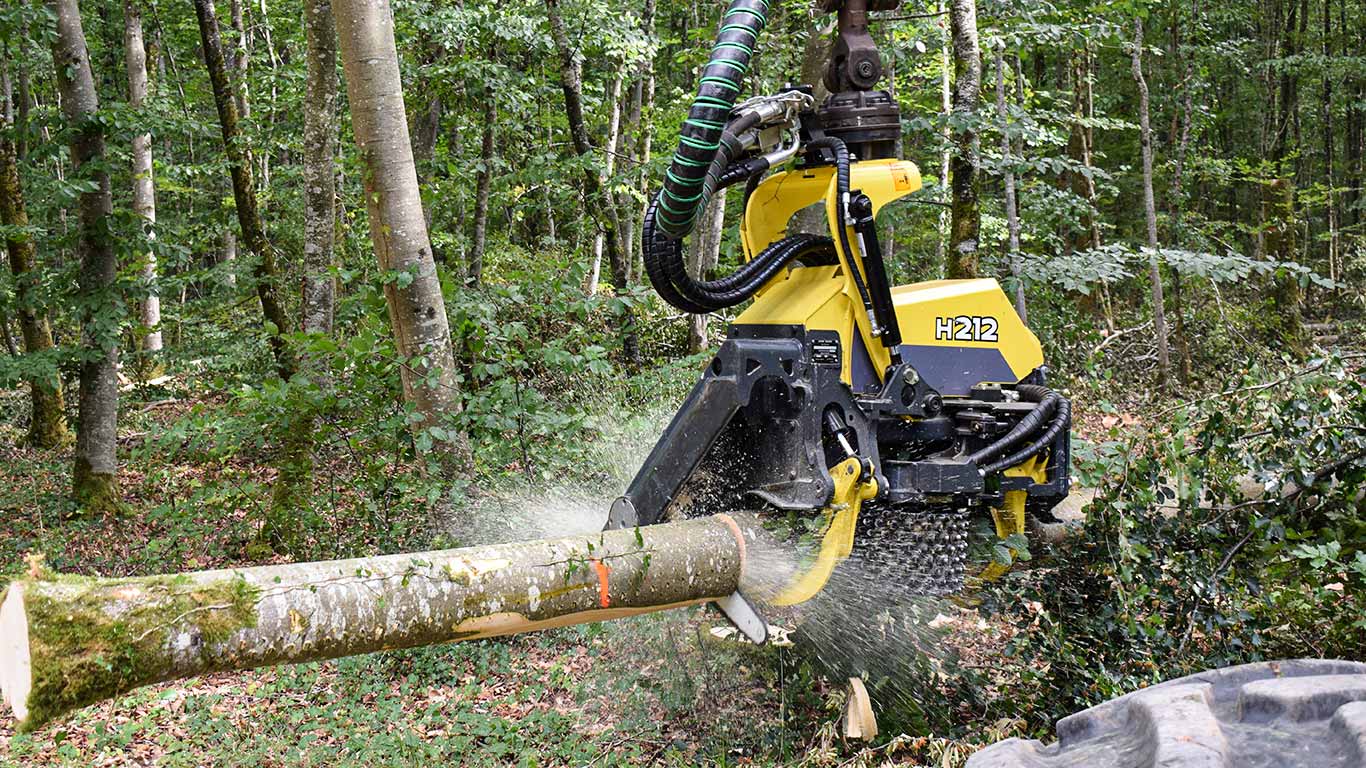 Harvester Head in the forest