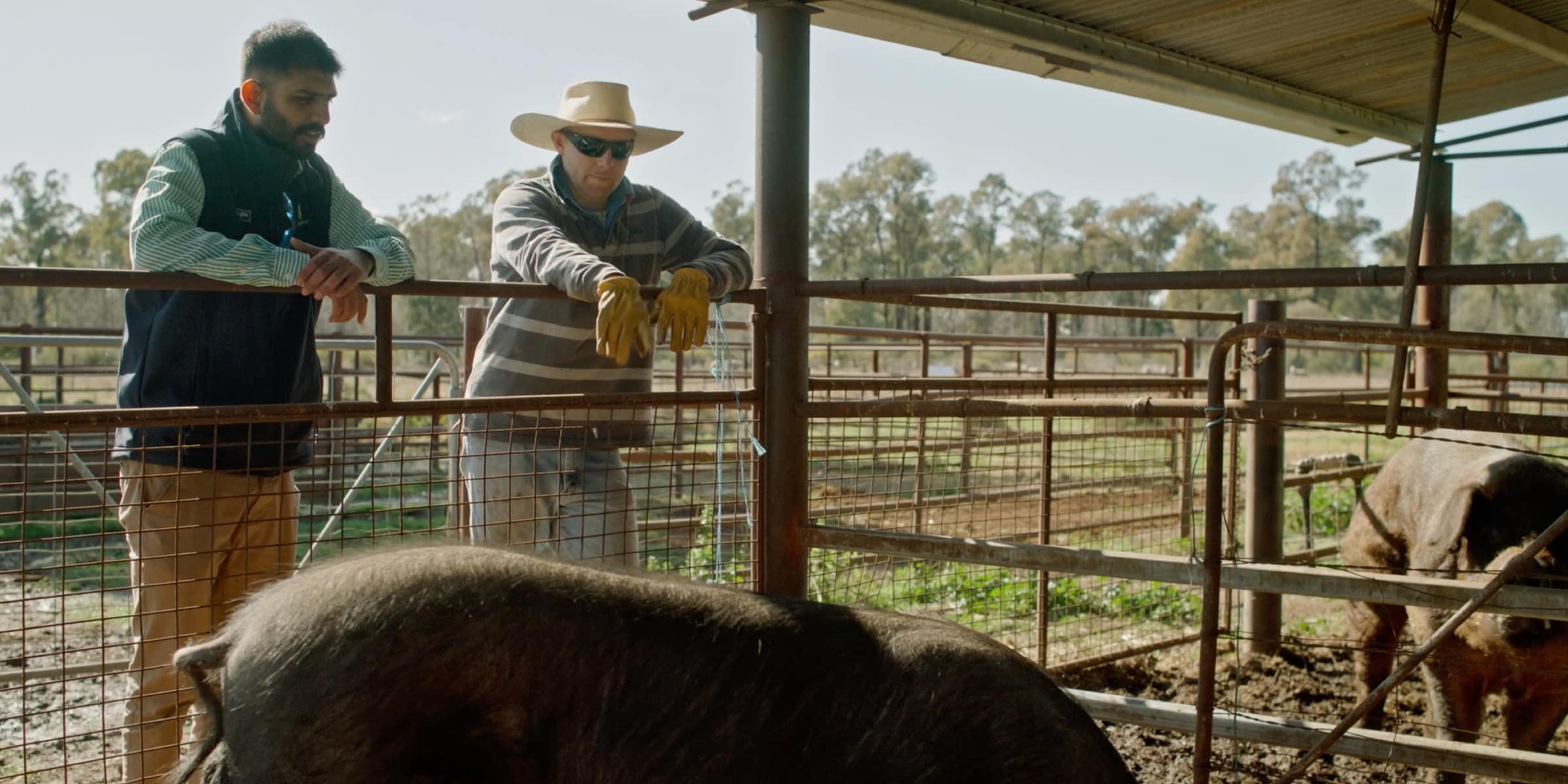 Will and his local John Deere dealer leaning against a fence looking into a pig pen