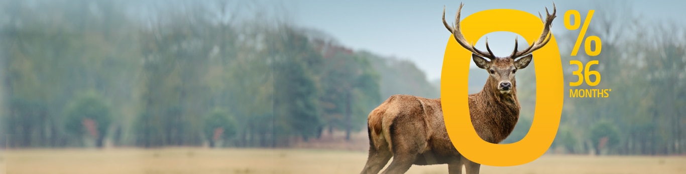 Deer in a field with 0% 36 months written in the foreground.