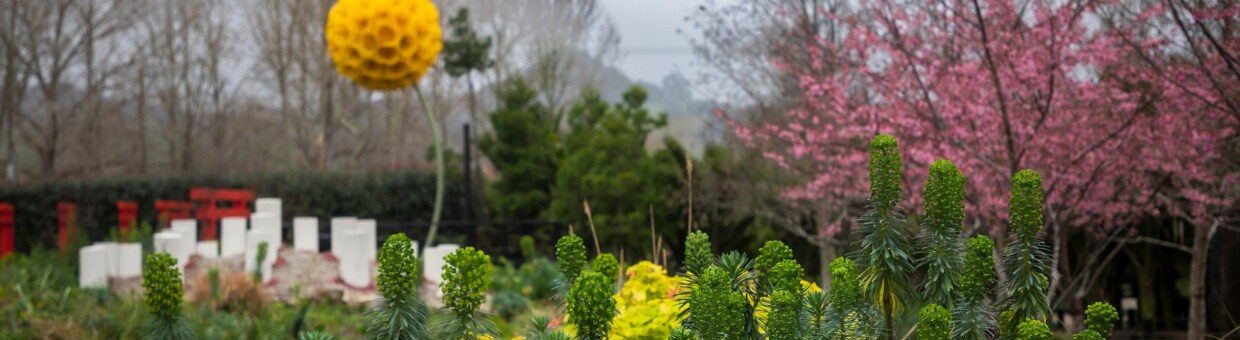 Planting an Edible Garden