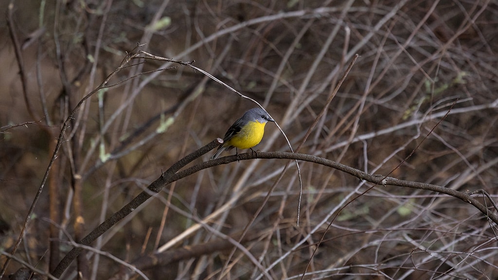 Person in hat and sunglasses driving green John Deere 4044R tractor outdoors in sunlight.