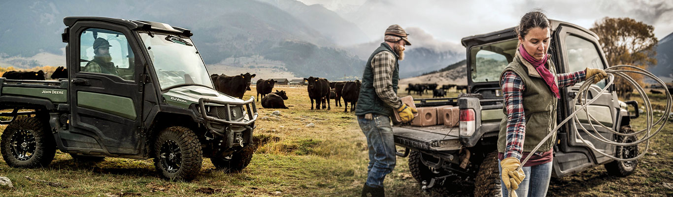 Two xuv gators and two people loading a gator with cows in a field in the background