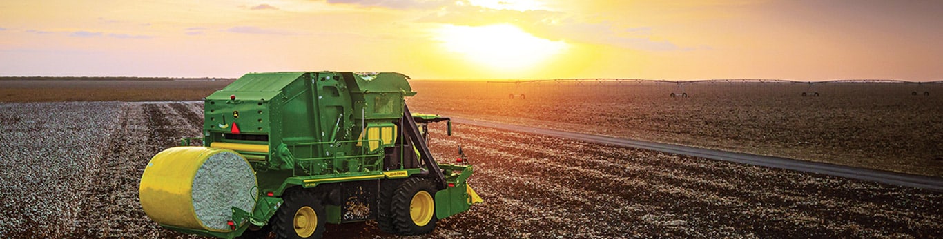 cp770 in cotton field