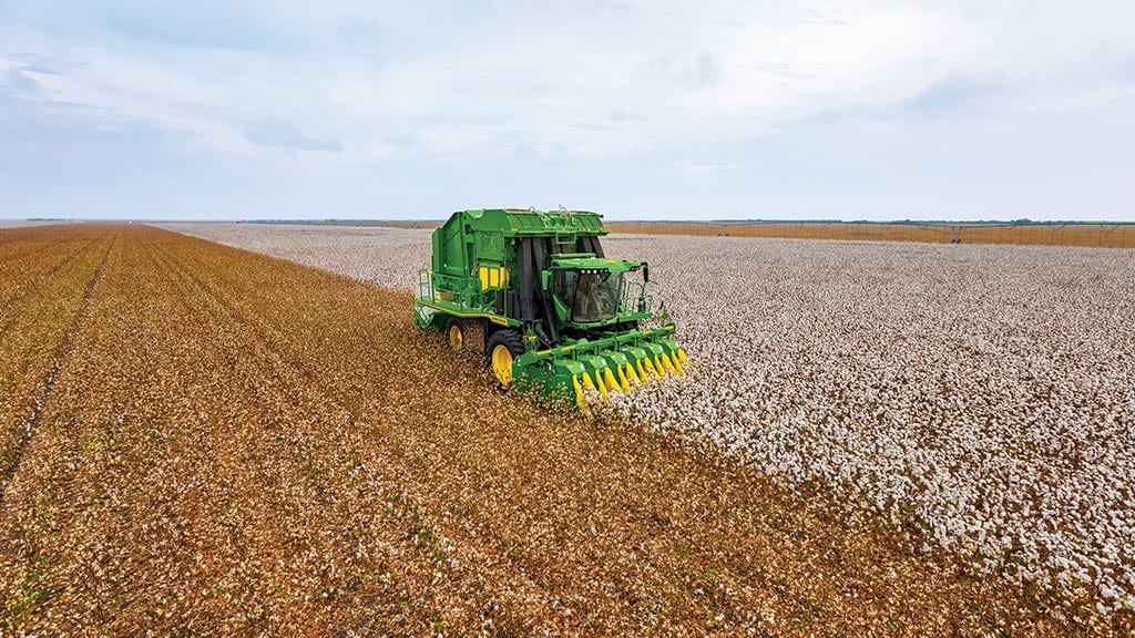 Cotton Picker in field