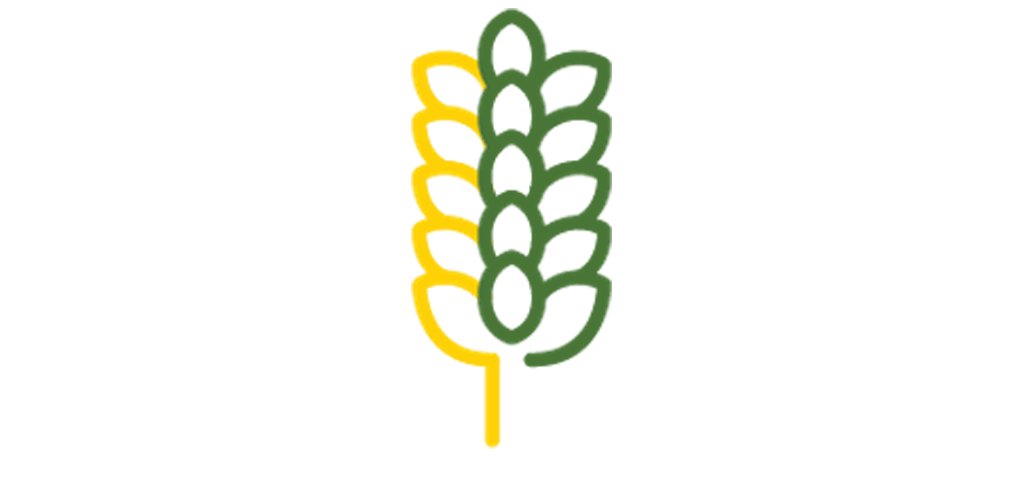 yellow and green coloured save your field corn outlined image