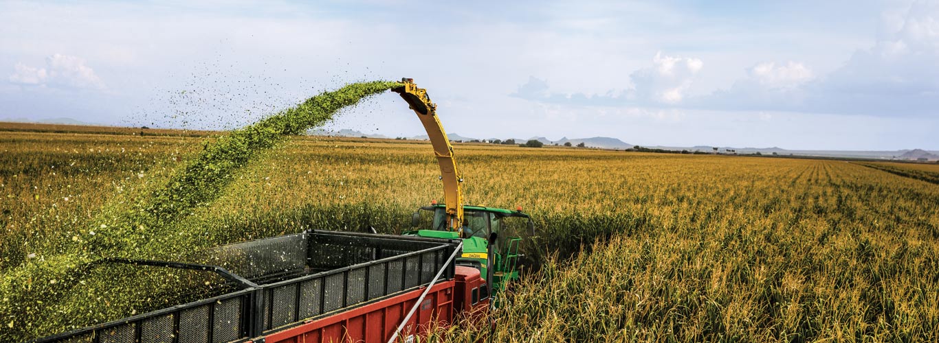 field image of self-propelled forage harvester