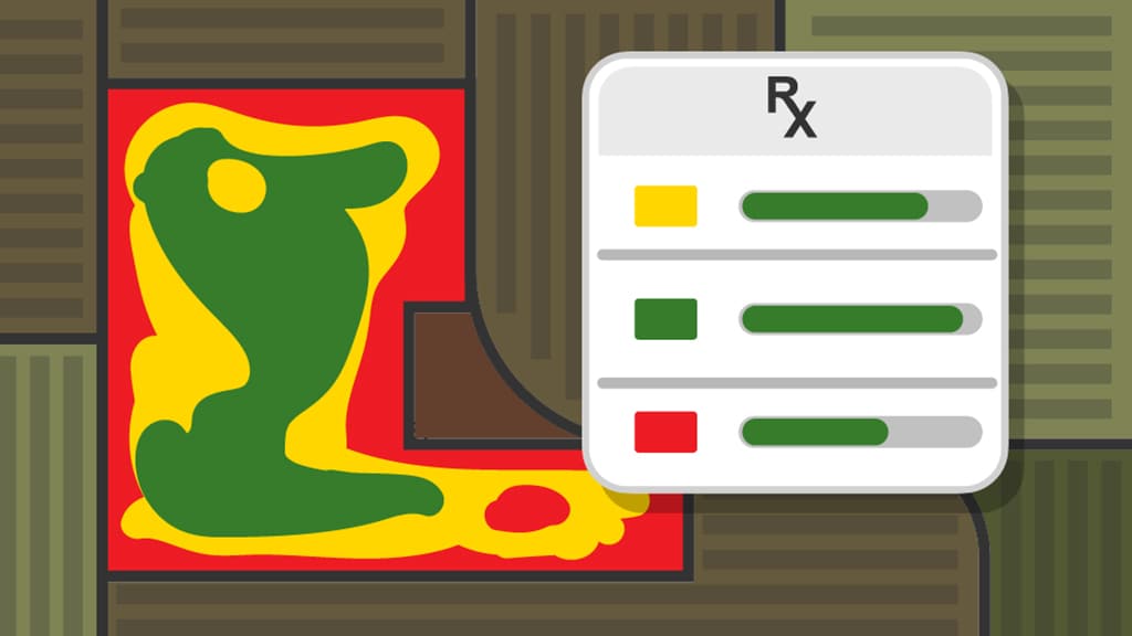 A close-up of a prescription