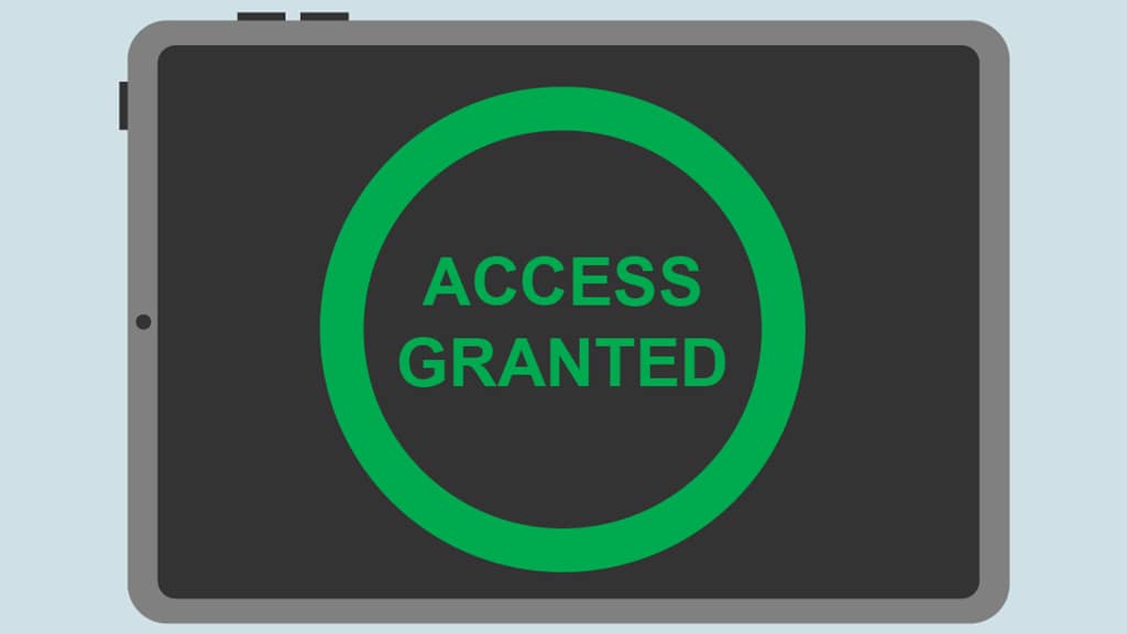 a computer screen that says "Access Granted" on it