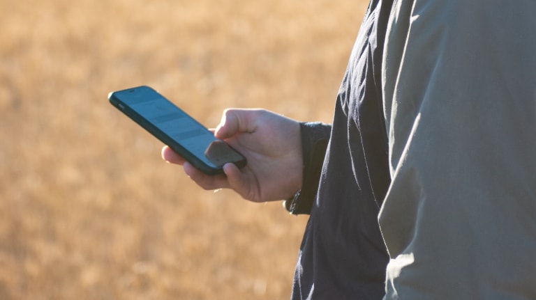 person with a phone in their hand