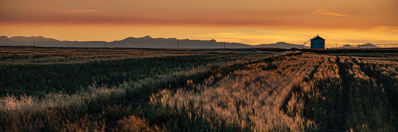 The Furrow publication sunset image
